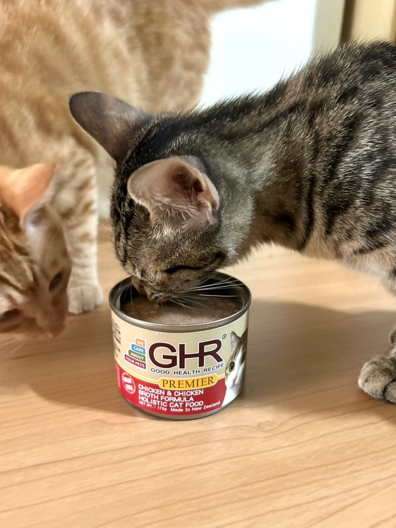 女人知己試用大隊,口碑行銷,部落客行銷,來自純淨自然無汙染的紐西蘭,自然主食罐,GHR 健康主義,GHR,貓用主食罐,貓罐,GHR貓用無穀主食罐,雞肉蔓越莓配方,鹿肉雞肉配方,牛羊加雞配方,刷尾負鼠肉雞肉配方,評價,口碑,適口性佳,心得,紐西蘭GHR,罐頭,貓咪,牛磺酸,軟骨素,維生素關節保健