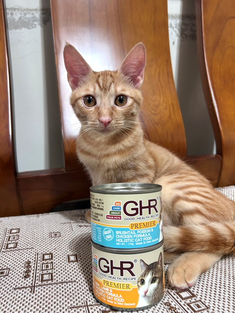 女人知己試用大隊,口碑行銷,部落客行銷,來自純淨自然無汙染的紐西蘭,自然主食罐,GHR 健康主義,GHR,貓用主食罐,貓罐,GHR貓用無穀主食罐,雞肉蔓越莓配方,鹿肉雞肉配方,牛羊加雞配方,刷尾負鼠肉雞肉配方,評價,口碑,適口性佳,心得,紐西蘭GHR,罐頭,貓咪,牛磺酸,軟骨素,維生素關節保健