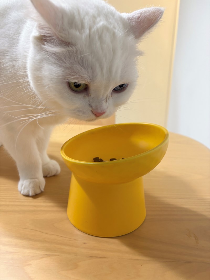 女人知己試用大隊,口碑行銷,部落客行銷,維舒康益生菌系列,維舒康,益生菌,後生元,益ALL勁,益FU勁,益CO勁,免疫保健,皮膚保健,口腔腸道保健