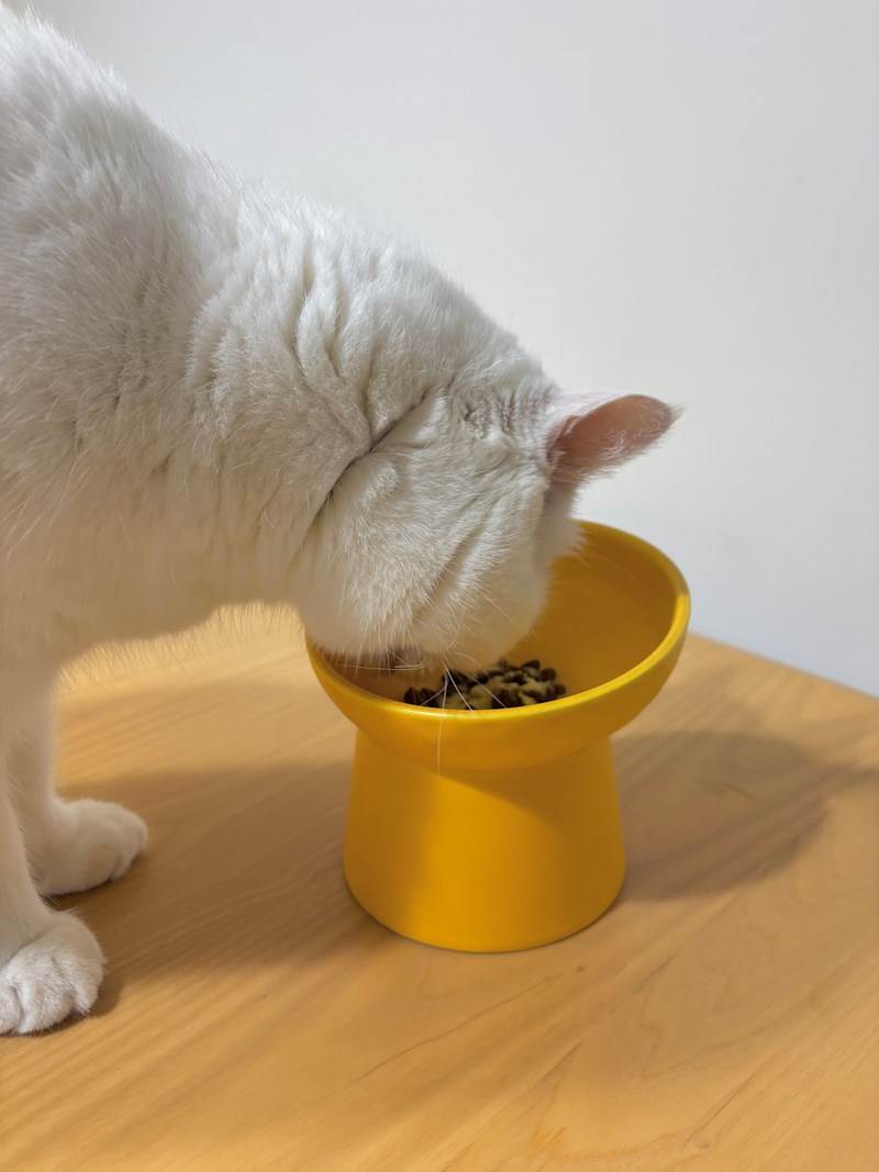 女人知己試用大隊,口碑行銷,部落客行銷,維舒康益生菌系列,維舒康,益生菌,後生元,益ALL勁,益FU勁,益CO勁,免疫保健,皮膚保健,口腔腸道保健