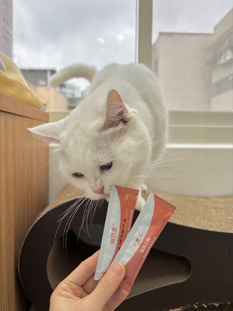 女人知己試用大隊,口碑行銷,部落客行銷,維舒康益生菌系列,維舒康,益生菌,後生元,益ALL勁,益FU勁,益CO勁,免疫保健,皮膚保健,口腔腸道保健