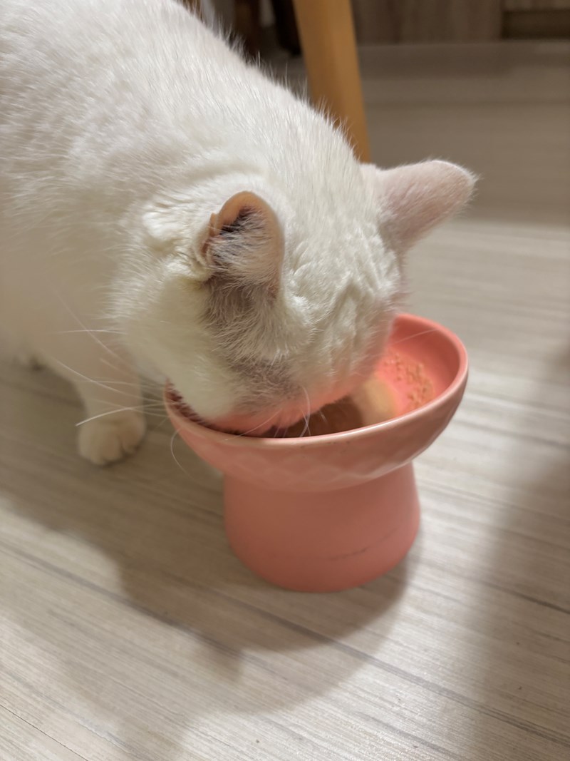 女人知己試用大隊,口碑行銷,部落客行銷,維舒康益生菌系列,維舒康,益生菌,後生元,益ALL勁,益FU勁,益CO勁,免疫保健,皮膚保健,口腔腸道保健