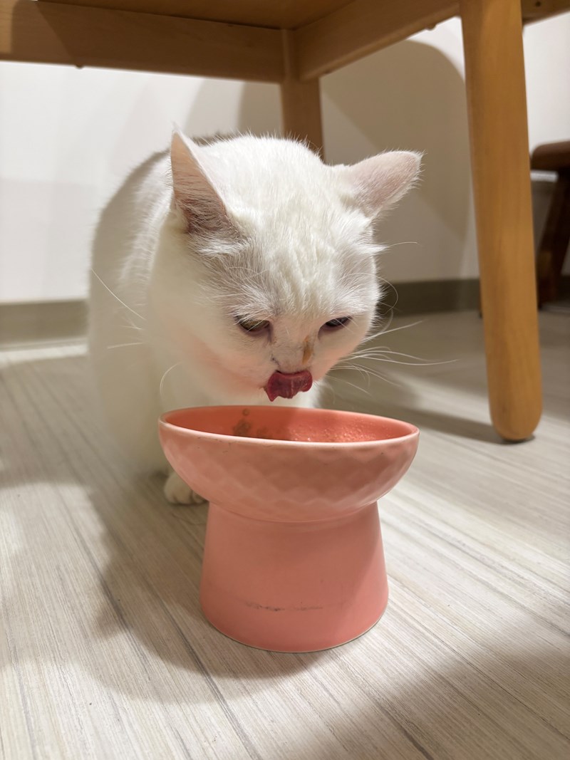 女人知己試用大隊,口碑行銷,部落客行銷,維舒康益生菌系列,維舒康,益生菌,後生元,益ALL勁,益FU勁,益CO勁,免疫保健,皮膚保健,口腔腸道保健