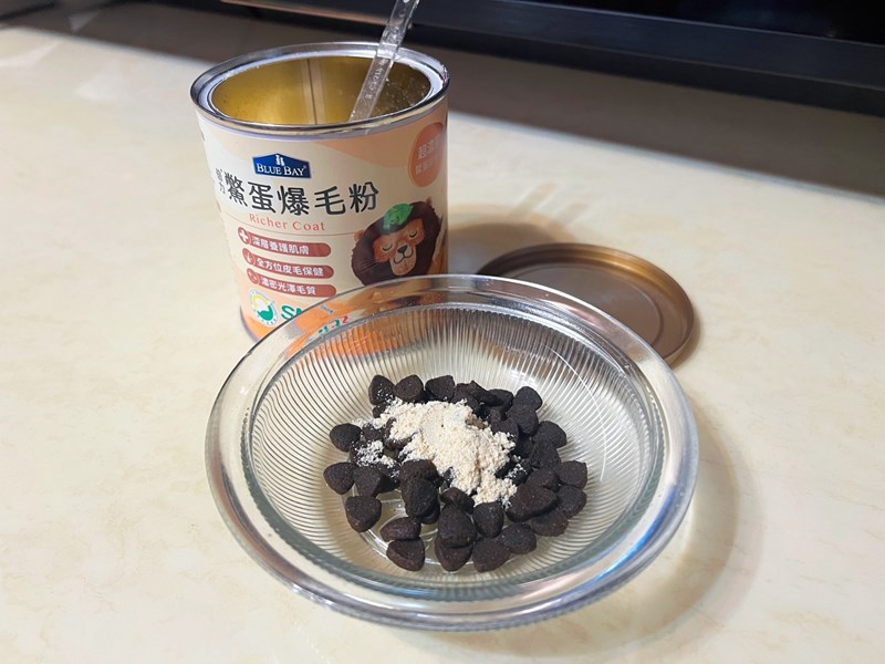 試用
