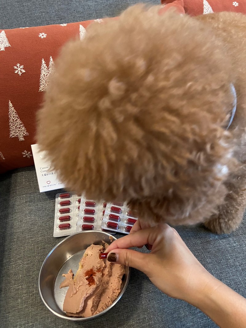 🌟寵立善Nutressense 犬貓Q10護心活氧複方膠囊🌟 試用