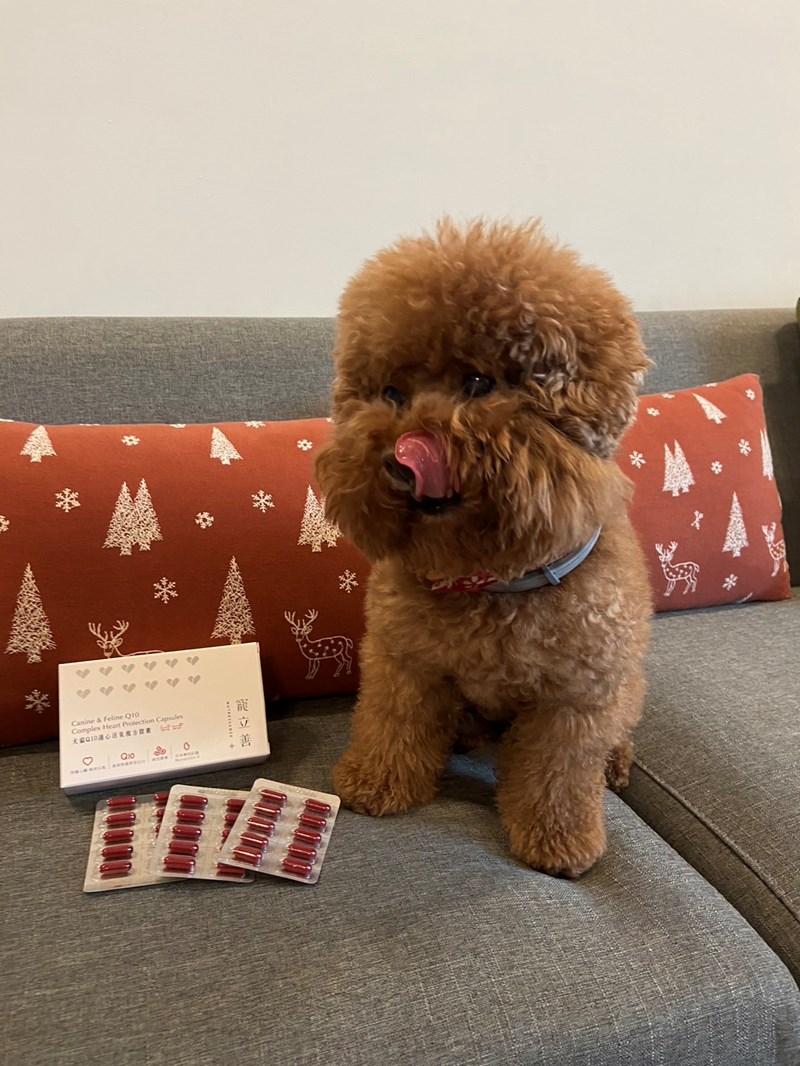 🌟寵立善Nutressense 犬貓Q10護心活氧複方膠囊🌟 試用