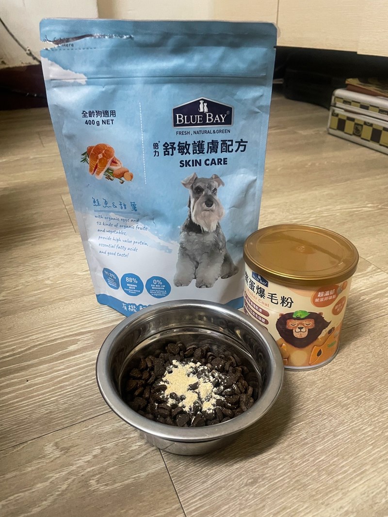 試用