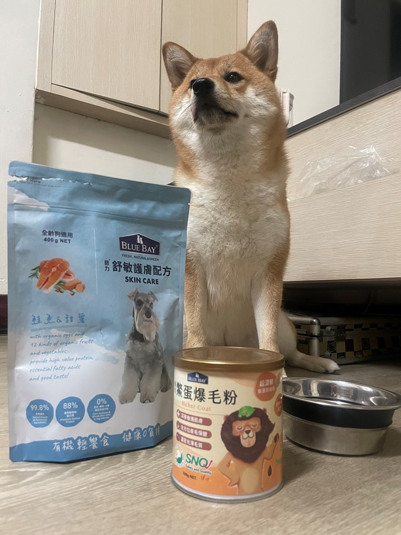 試用