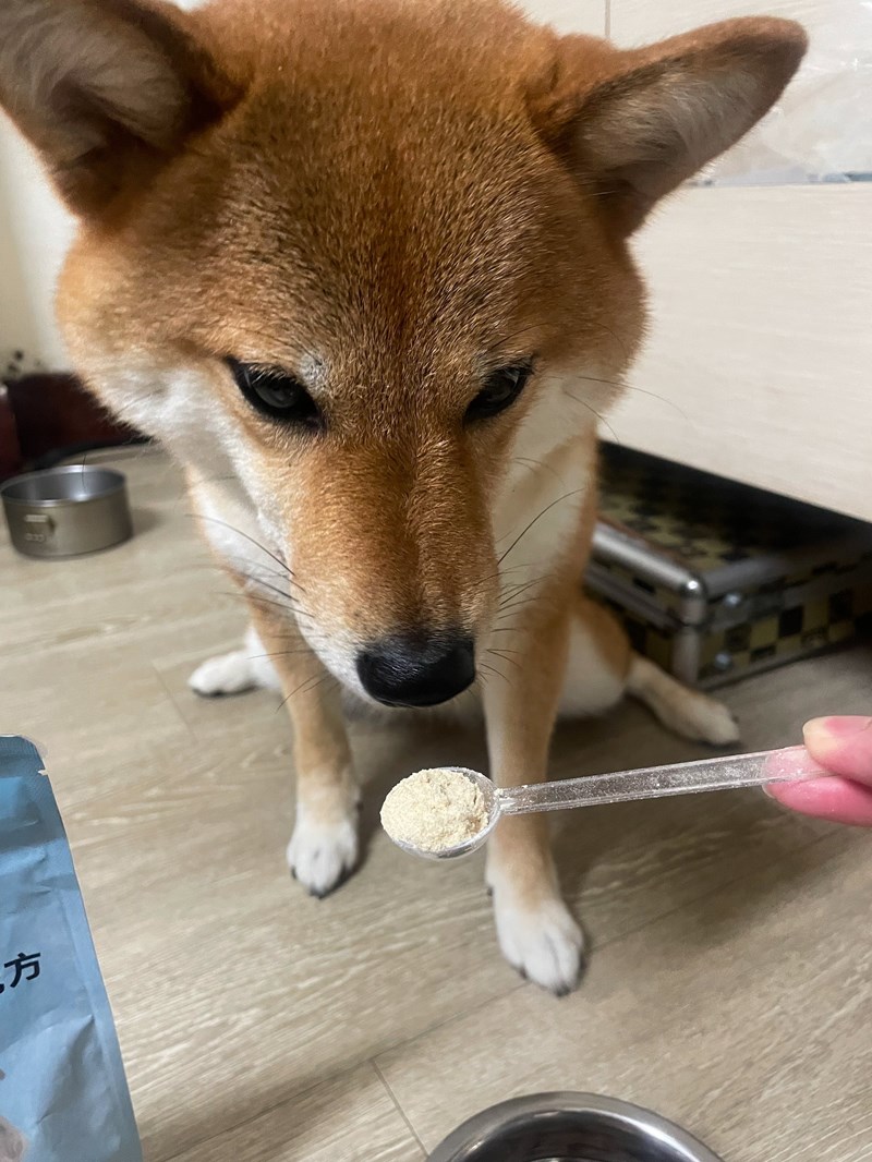 試用