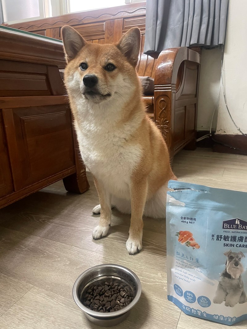 試用