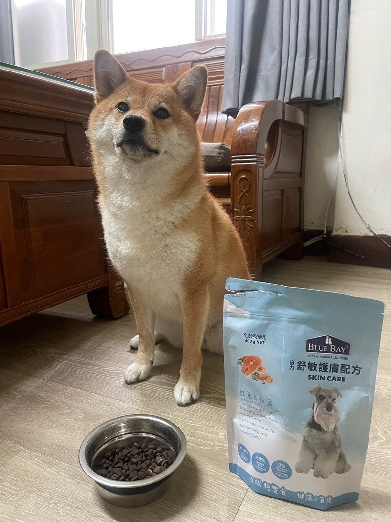 試用