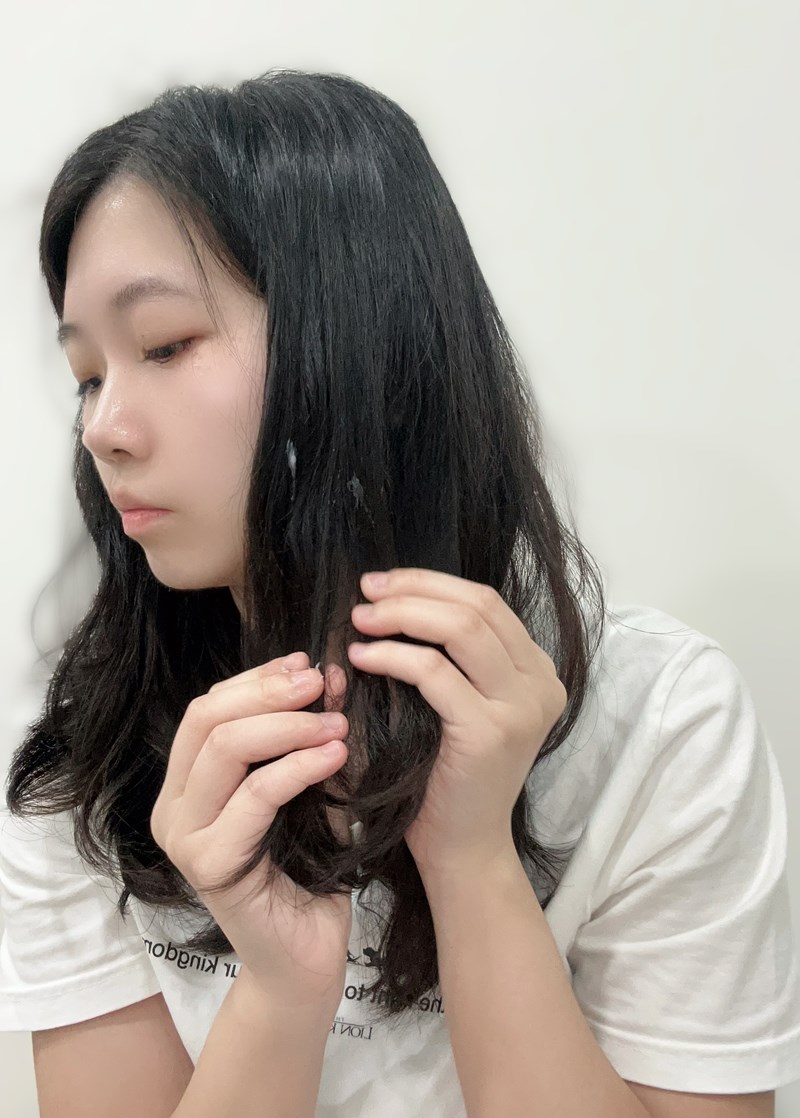 試用