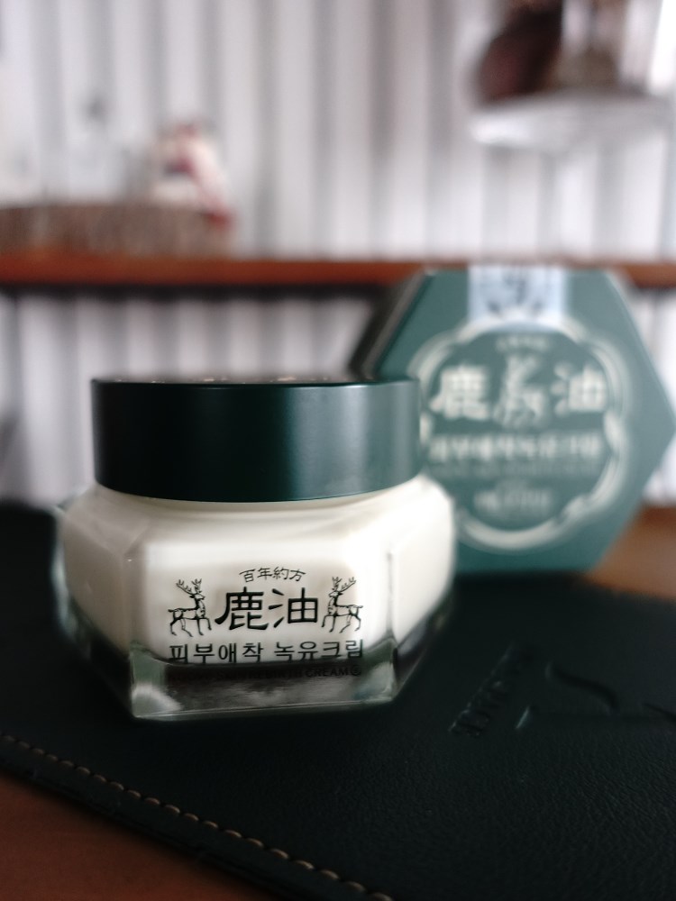 試用