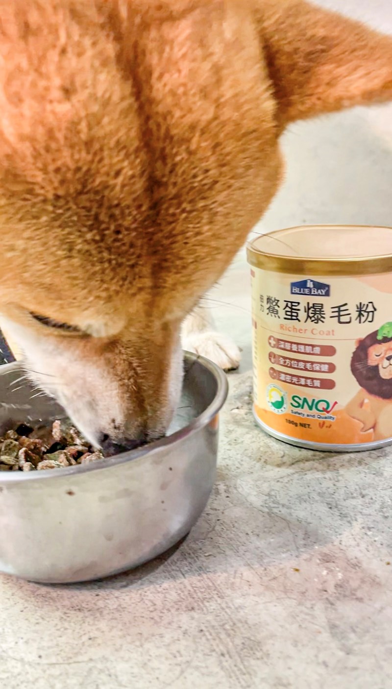 試用