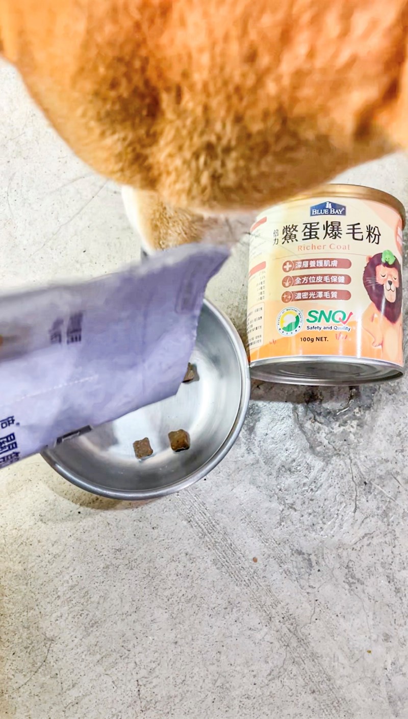 試用