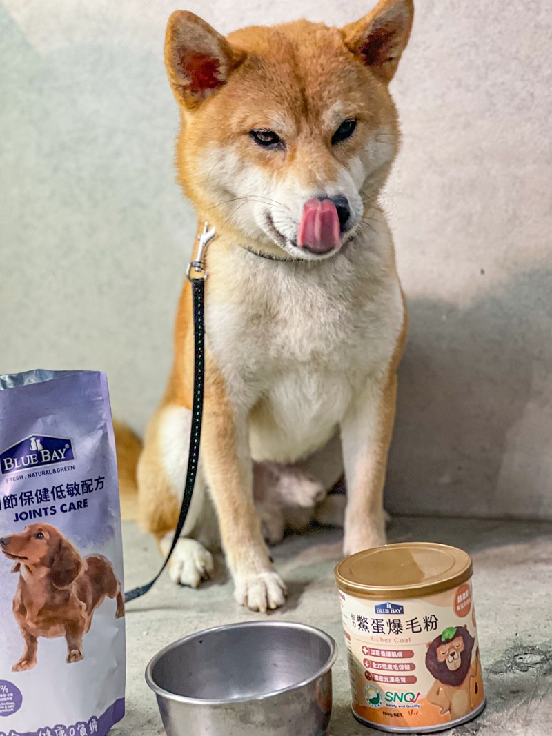 試用