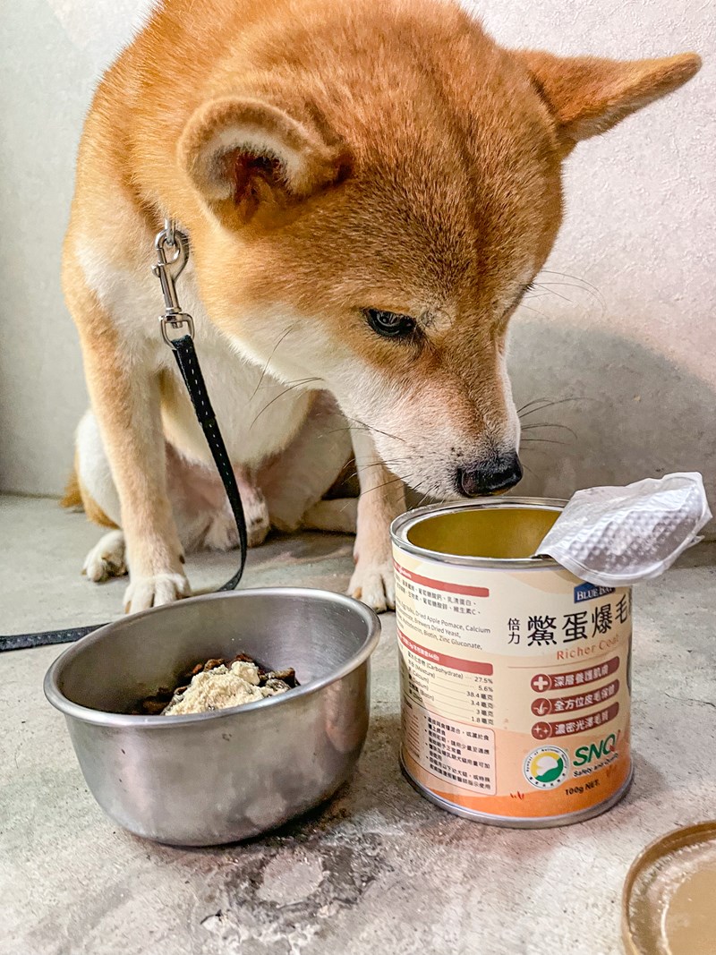試用