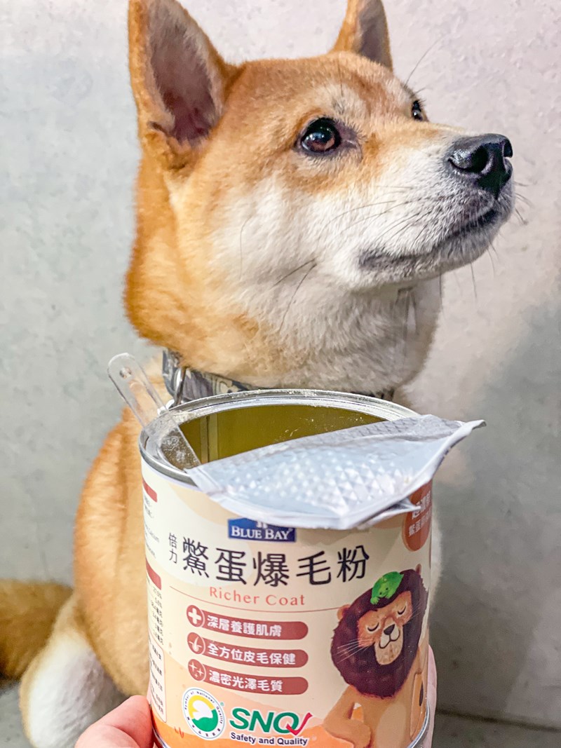 試用