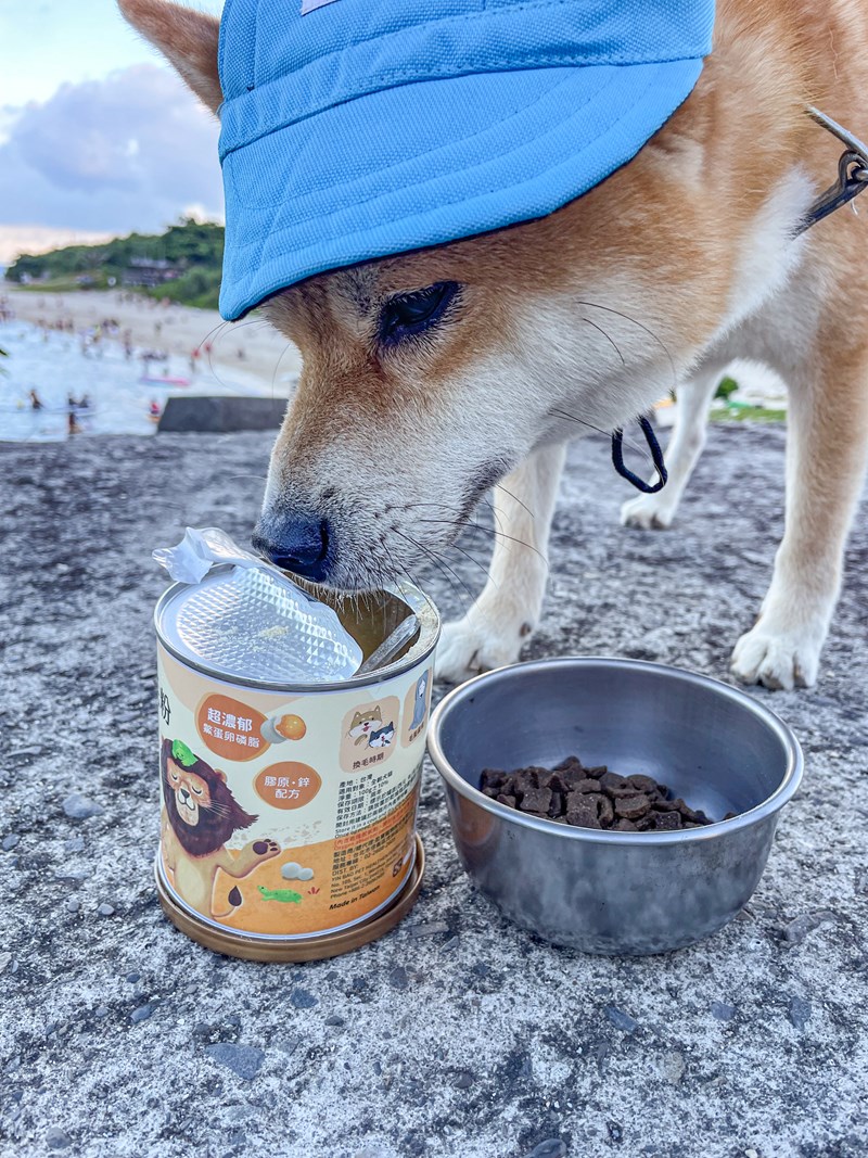 試用