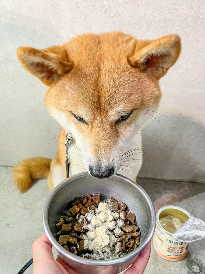 試用