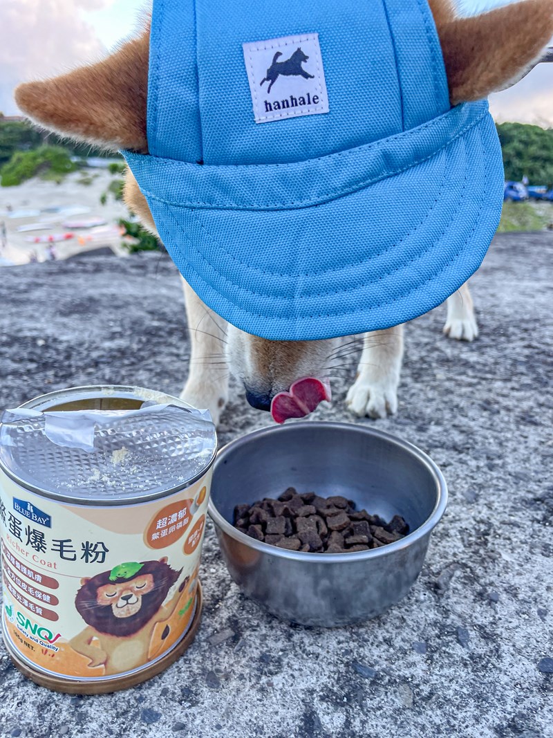 試用