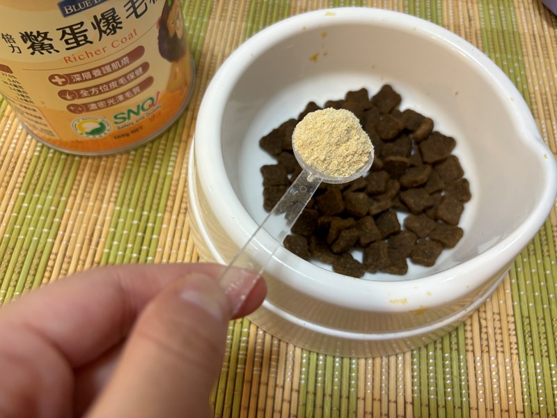 試用