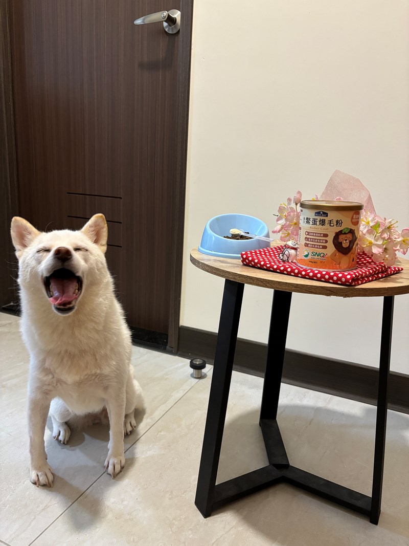 試用