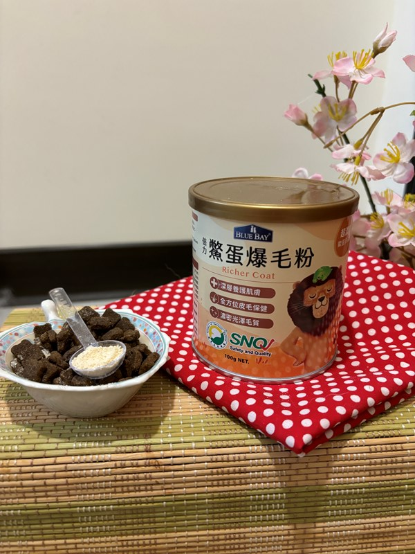 試用