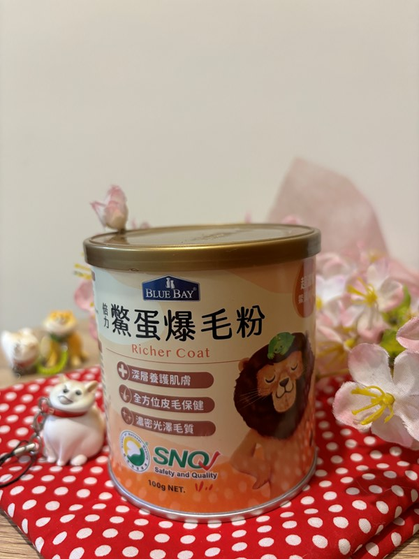試用