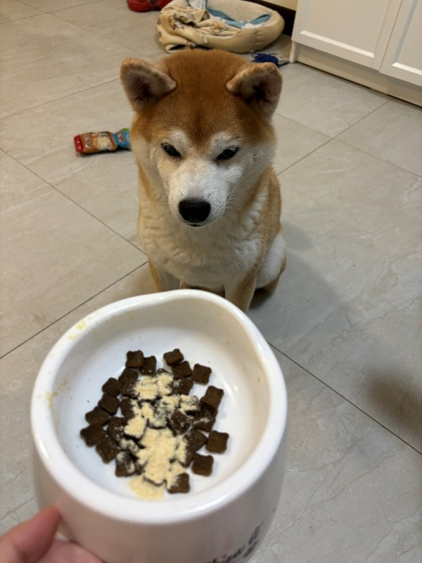 試用