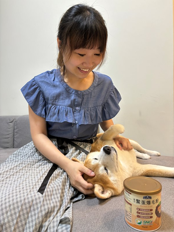 試用