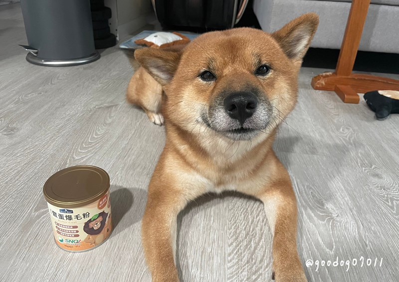 試用