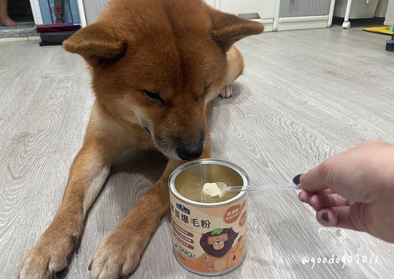試用