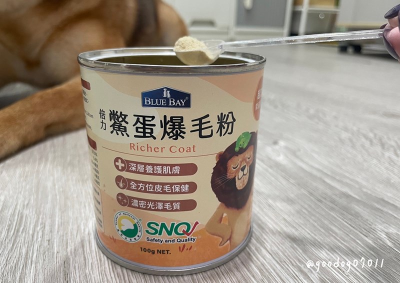 試用