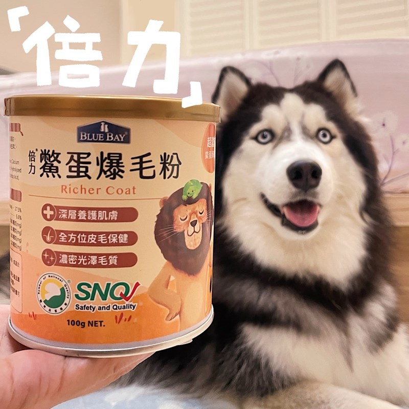 試用