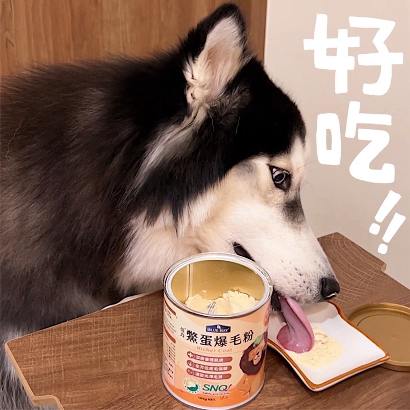 試用