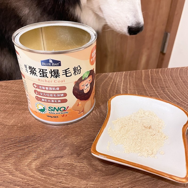 試用