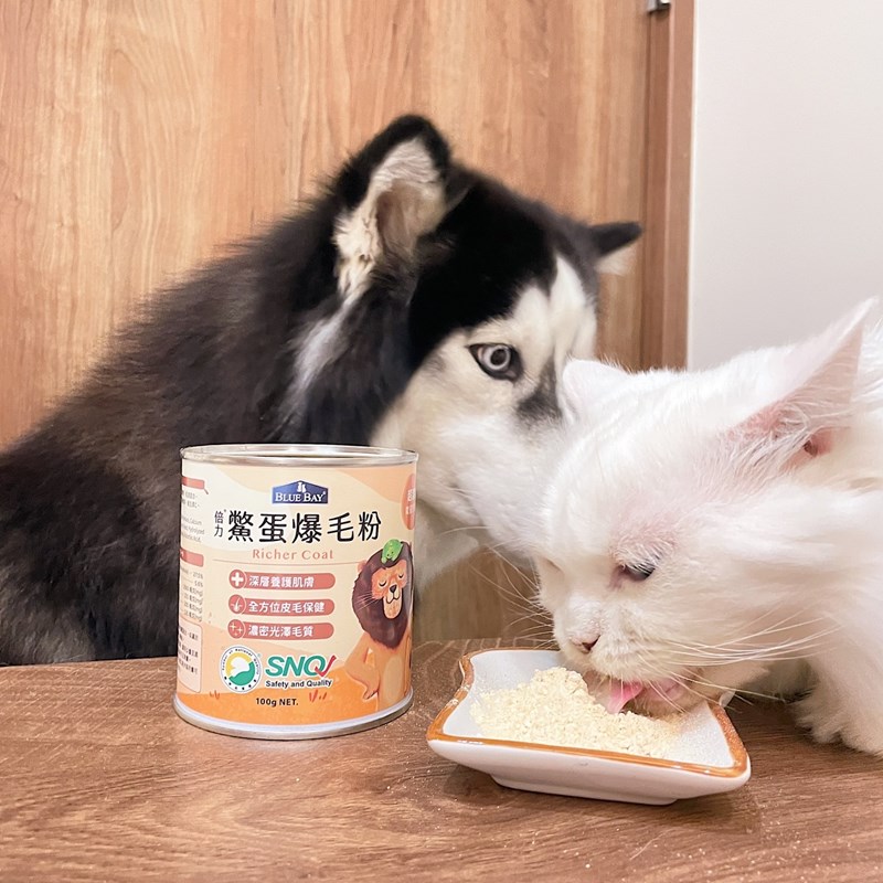試用