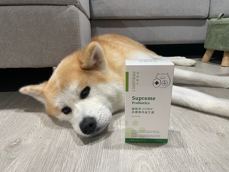 【寵物保健品】嬌寵醫生 極精萃 皮膚專科益生菌|100億活菌 蛋白質多醣冷凍雙層包埋專利 - 第1張圖 試用