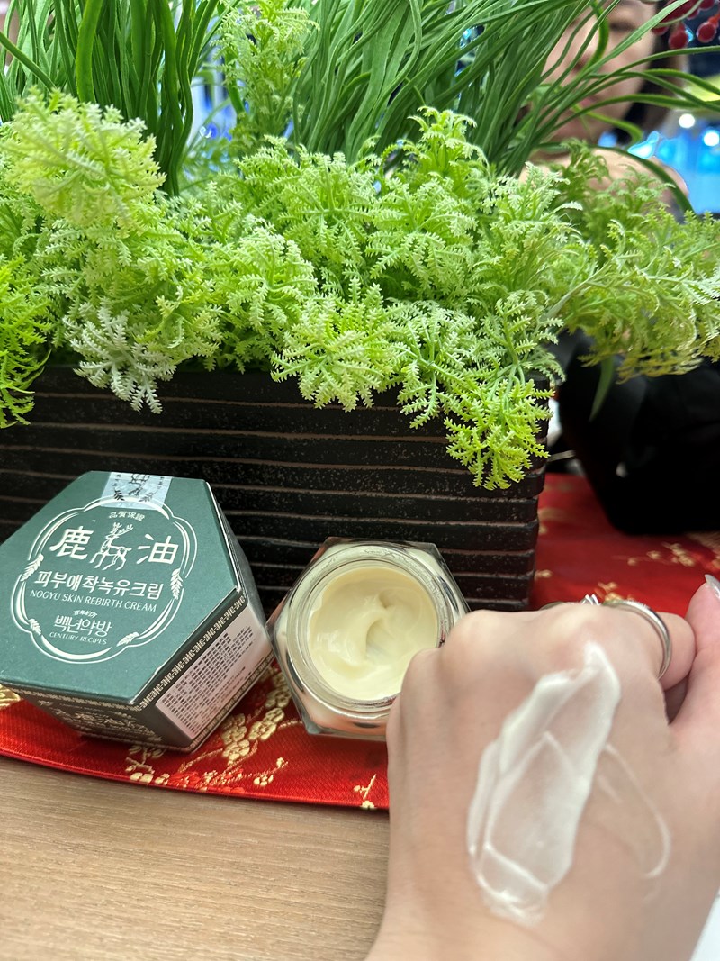 試用