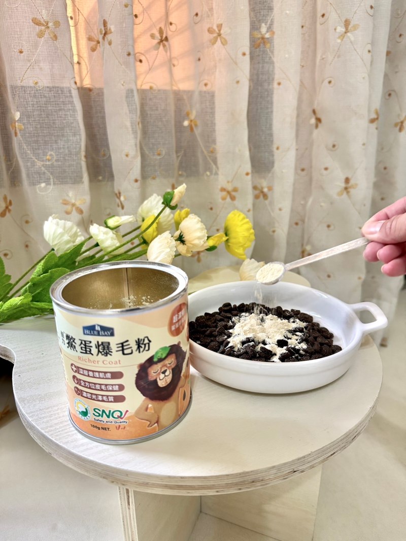 女人知己試用大隊,口碑行銷,部落客行銷,bluebay倍力鱉蛋爆毛養膚粉,倍力鱉蛋粉,鱉蛋粉推薦,養毛粉,換季掉毛,爆毛滑順,皮毛搔癢,鱉蛋粉皮膚,老狗鱉蛋粉,貓咪鱉蛋粉,搔抓,貓皮膚病/貓癬,皮膚保健,皮毛保健