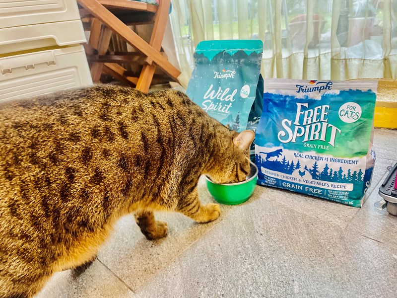 Triumph奔放去骨雞肉糙米配方天然糧及奔放去骨雞肉莓果配 Triumph奔放去骨雞肉糙米配方天然糧及奔放去骨雞肉莓果配