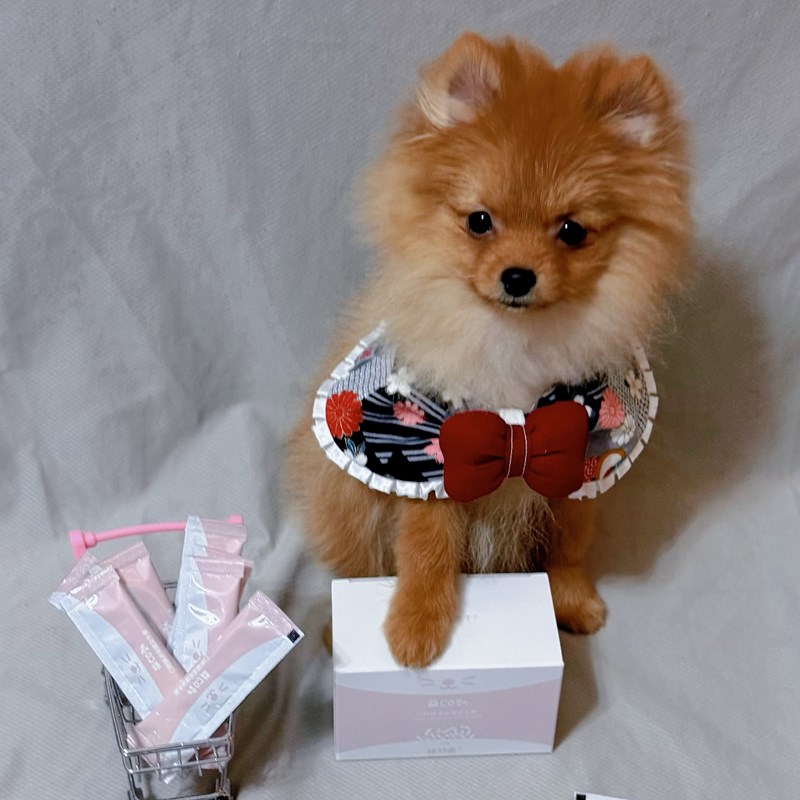 女人知己試用大隊,口碑行銷,部落客行銷,維舒康益生菌系列,維舒康,益生菌,後生元,益ALL勁,益FU勁,益CO勁,免疫保健,皮膚保健,口腔腸道保健