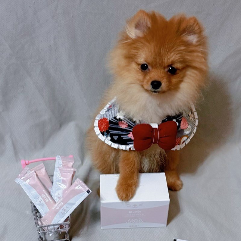 女人知己試用大隊,口碑行銷,部落客行銷,維舒康益生菌系列,維舒康,益生菌,後生元,益ALL勁,益FU勁,益CO勁,免疫保健,皮膚保健,口腔腸道保健