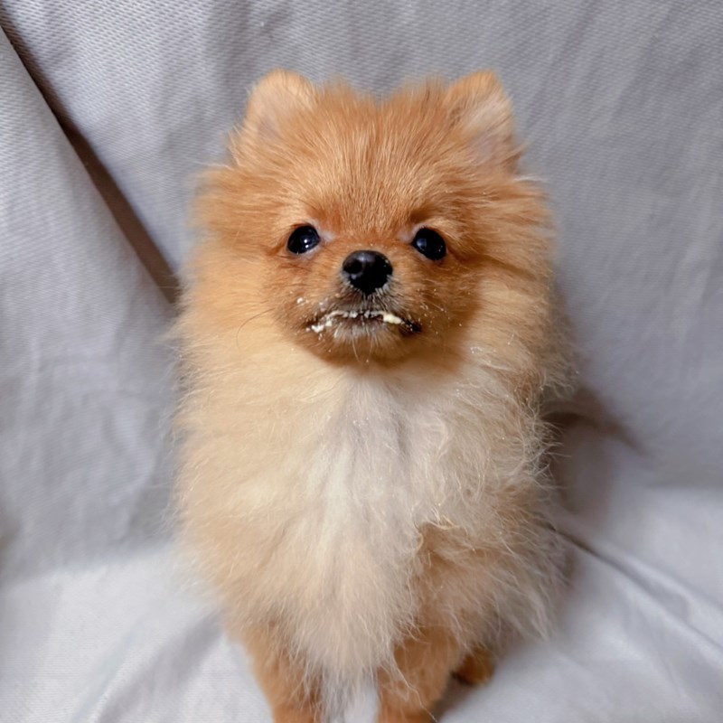 女人知己試用大隊,口碑行銷,部落客行銷,維舒康益生菌系列,維舒康,益生菌,後生元,益ALL勁,益FU勁,益CO勁,免疫保健,皮膚保健,口腔腸道保健