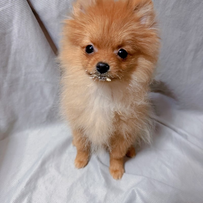 女人知己試用大隊,口碑行銷,部落客行銷,維舒康益生菌系列,維舒康,益生菌,後生元,益ALL勁,益FU勁,益CO勁,免疫保健,皮膚保健,口腔腸道保健