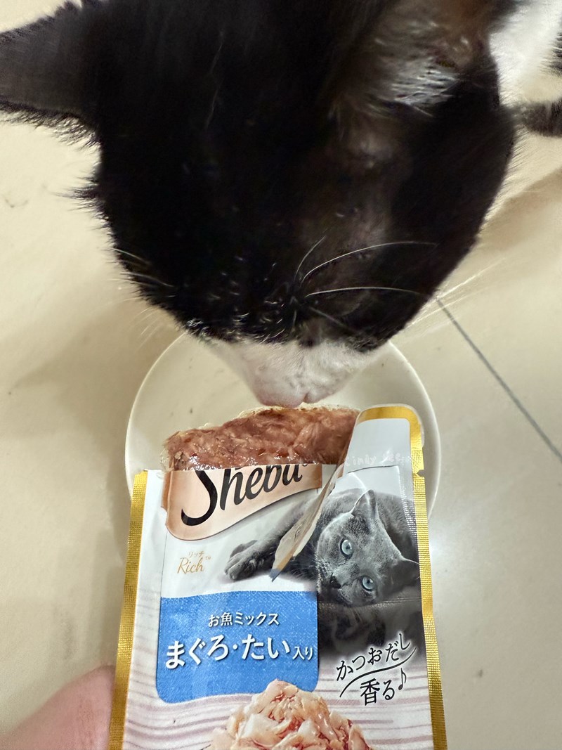 [寵物]成貓飼料推薦Sheba®希寶-貓咪濕糧滿足貓咪味蕾【