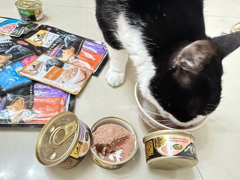 [寵物]成貓飼料推薦Sheba®希寶-貓咪濕糧滿足貓咪味蕾【