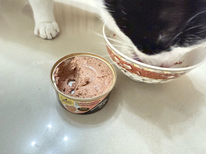 [寵物]成貓飼料推薦Sheba®希寶-貓咪濕糧滿足貓咪味蕾【