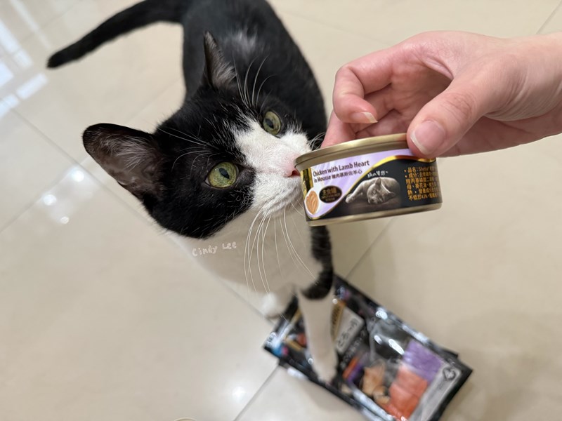 [寵物]成貓飼料推薦Sheba®希寶-貓咪濕糧滿足貓咪味蕾【